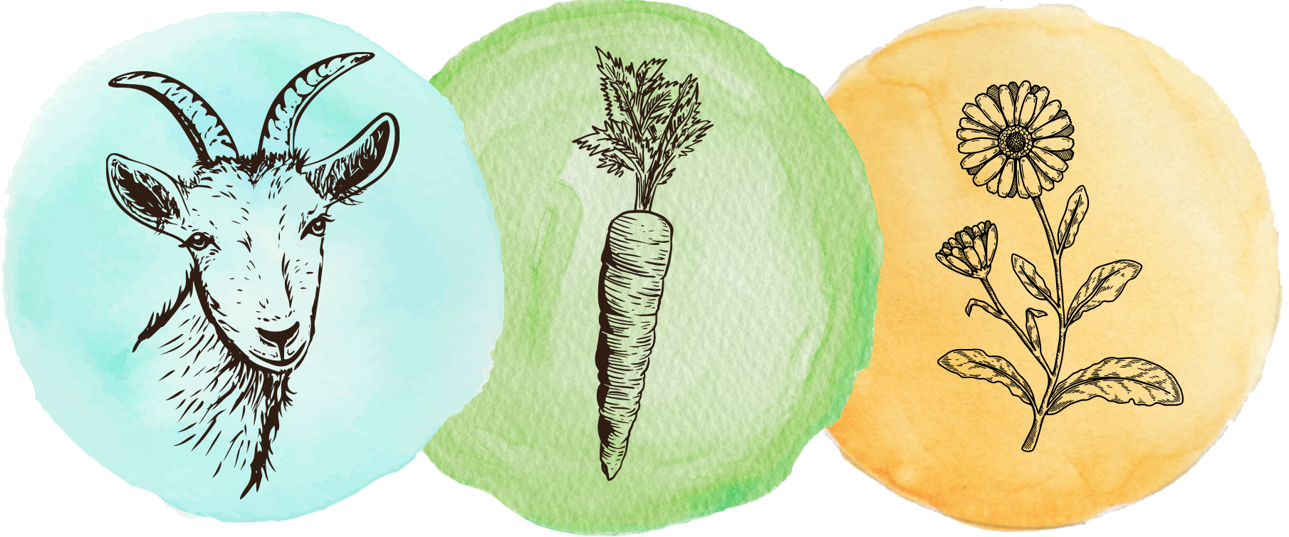 Logo Ferme des Maquis